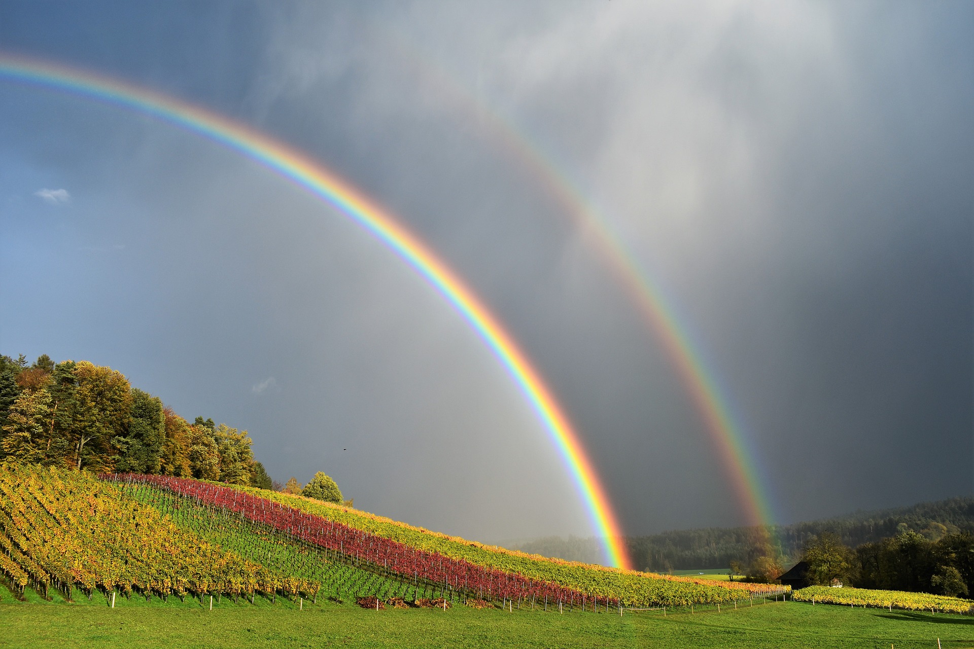 Double Rainbow